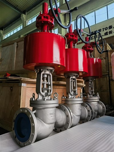 Običajni ventil Globe